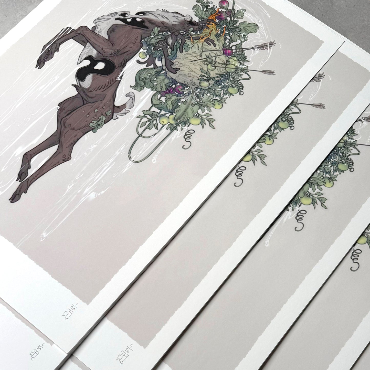 "Fruition II" Standard Edition